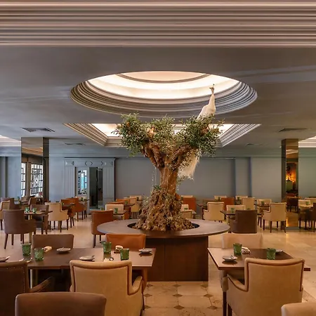 Grande Thermas Nature & 酒店 圣佩德罗温泉