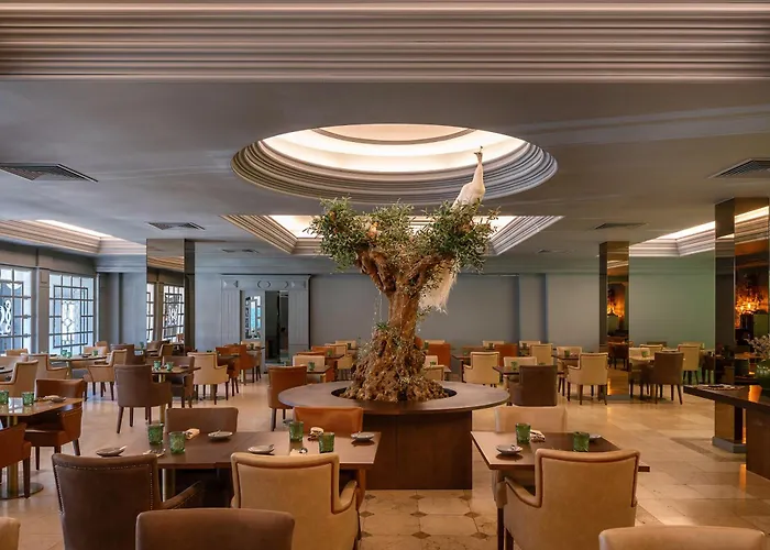 Grande Thermas Nature & Hotel Termas de São Pedro do Sul